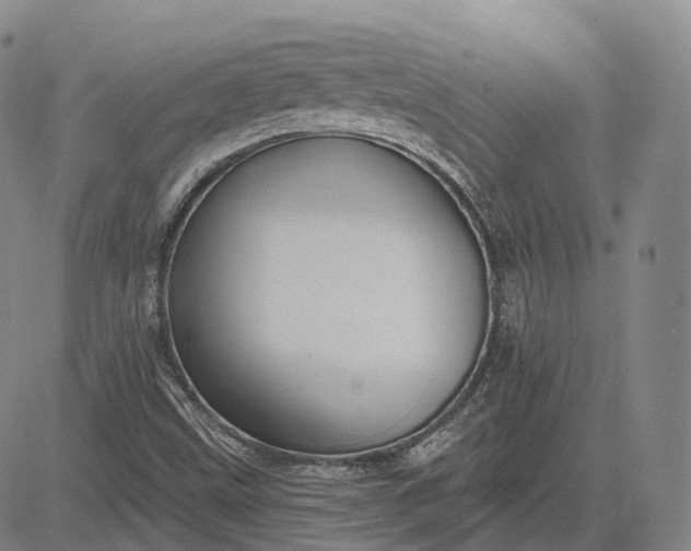 X0000083041499200702161653