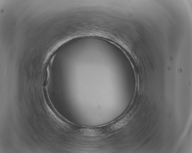 X0000083041500200702161653