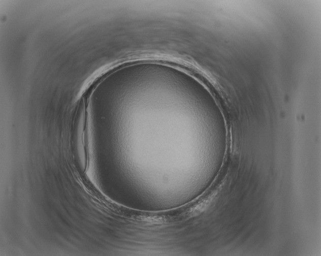 X0000083041501200702161653