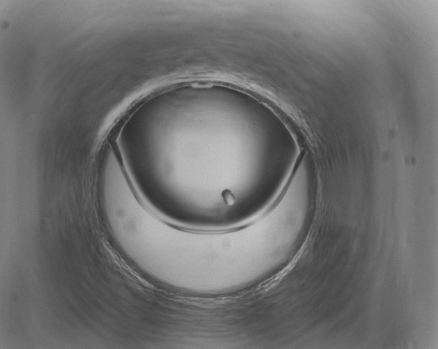 X0000083041502200702161653