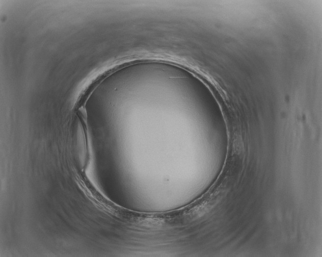 X0000083041503200702161653