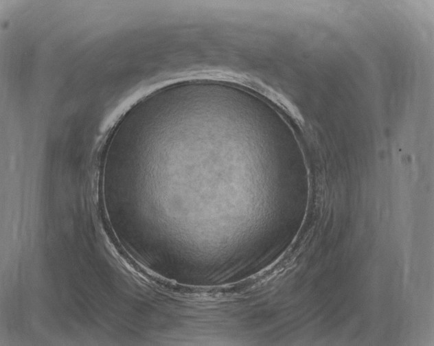 X0000083041504200702161653