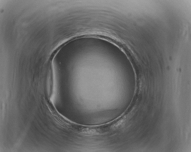 X0000083041505200702161653