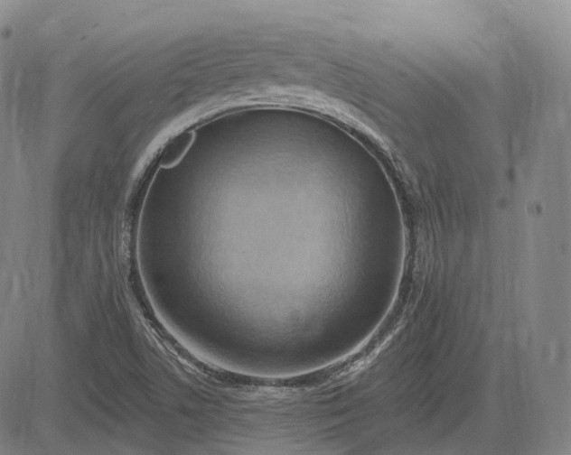 X0000083041506200702161653