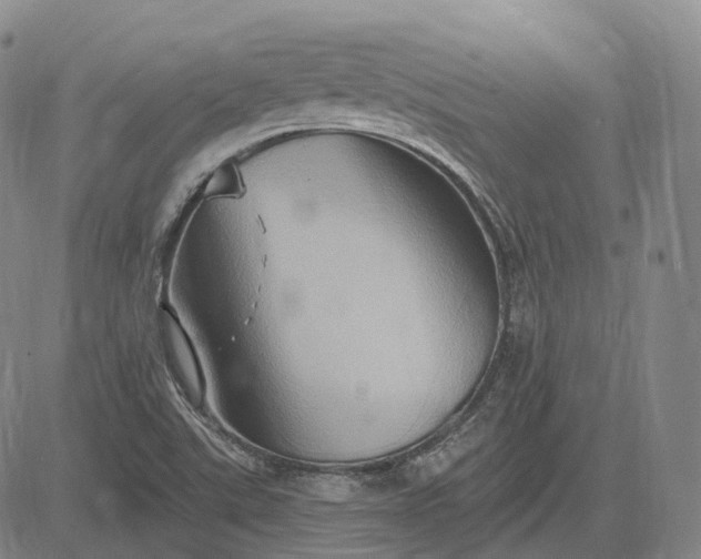 X0000083041507200702161653