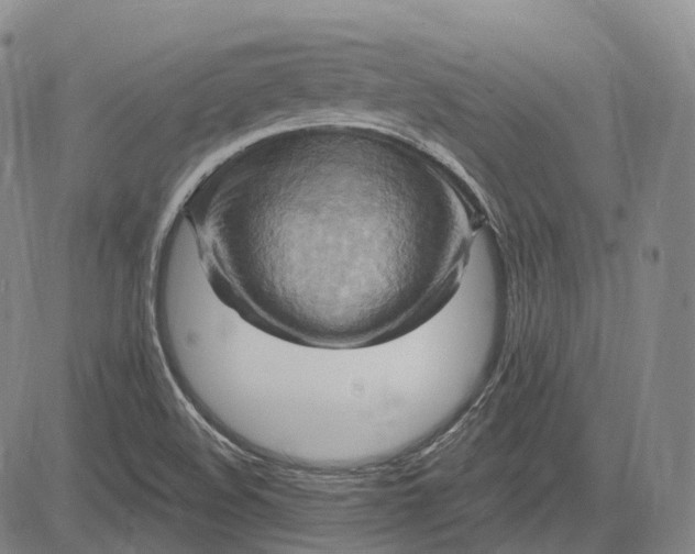 X0000083041508200702161653