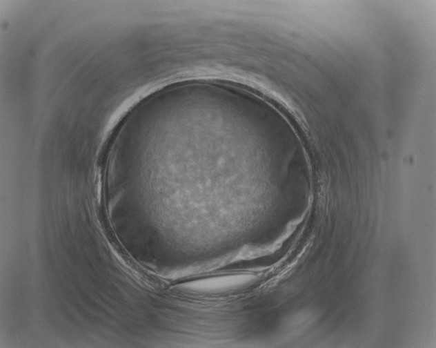 X0000083041509200702161653