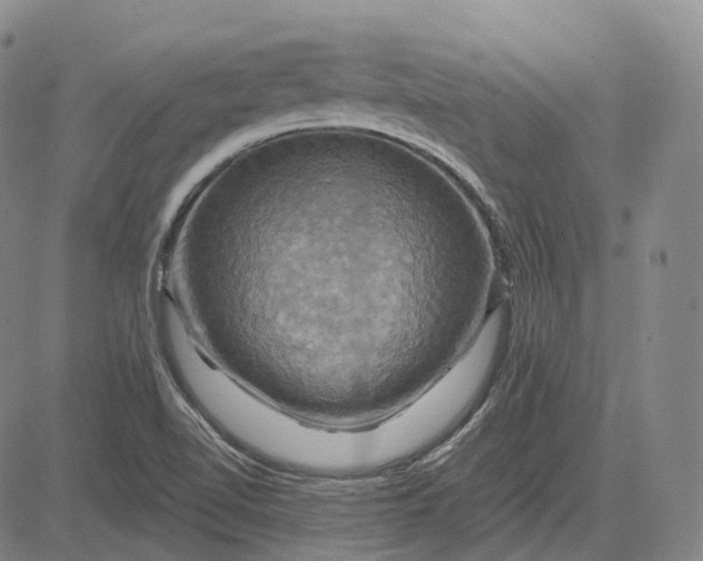 X0000083041510200702161653