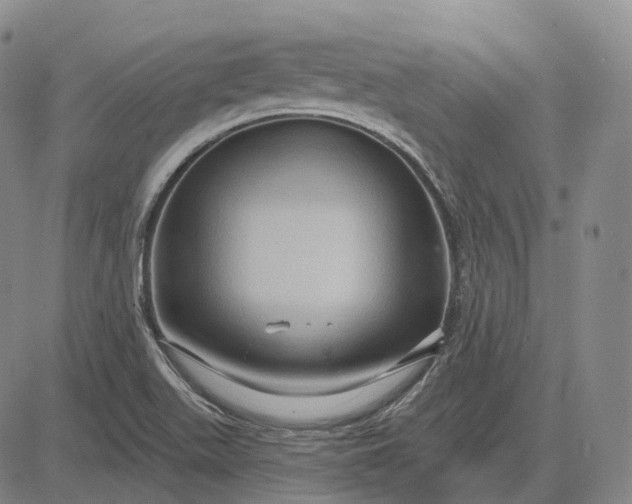 X0000083041511200702161653