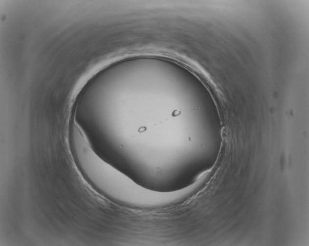 X0000083041512200702161653