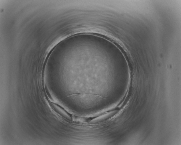 X0000083041513200702161653