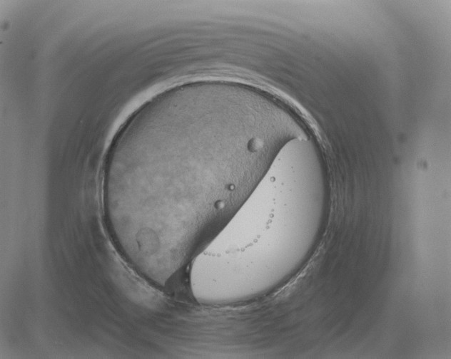 X0000083041514200702161653