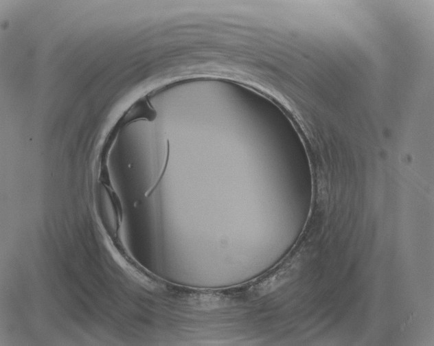 X0000083041515200702161653