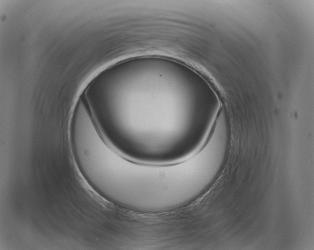 X0000083041516200702161653