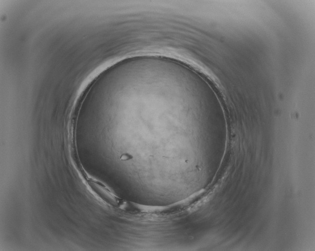 X0000083041517200702161653