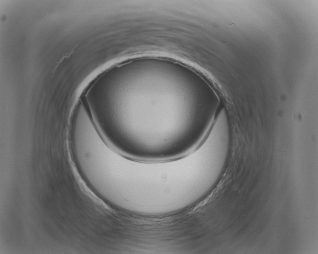 X0000083041518200702161653