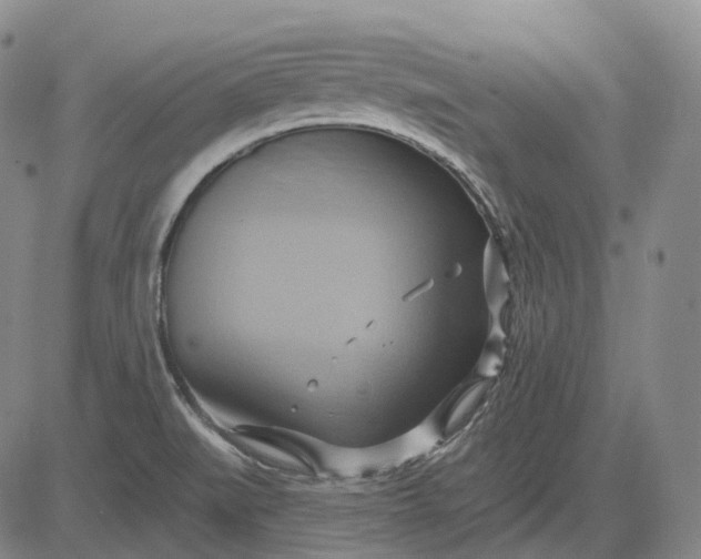 X0000083041519200702161653