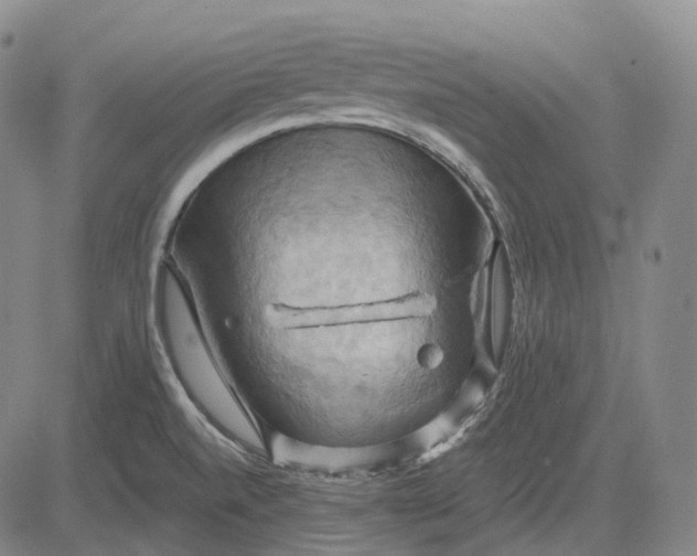 X0000083041520200702161653