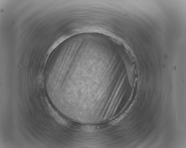 X0000083041521200702161653