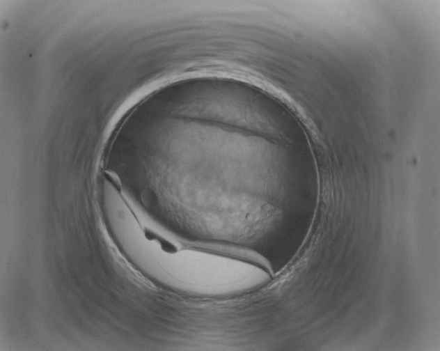 X0000083041522200702161653