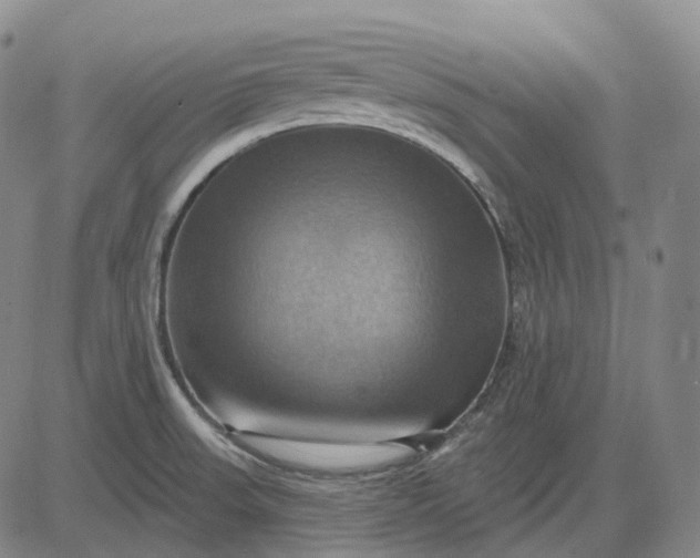 X0000083041523200702161653