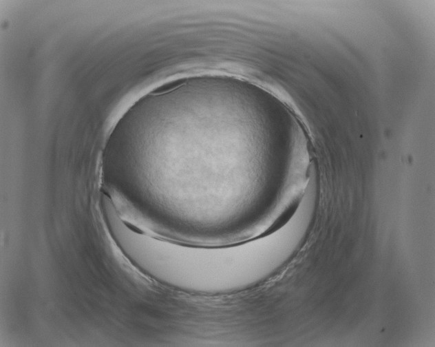 X0000083041524200702161653