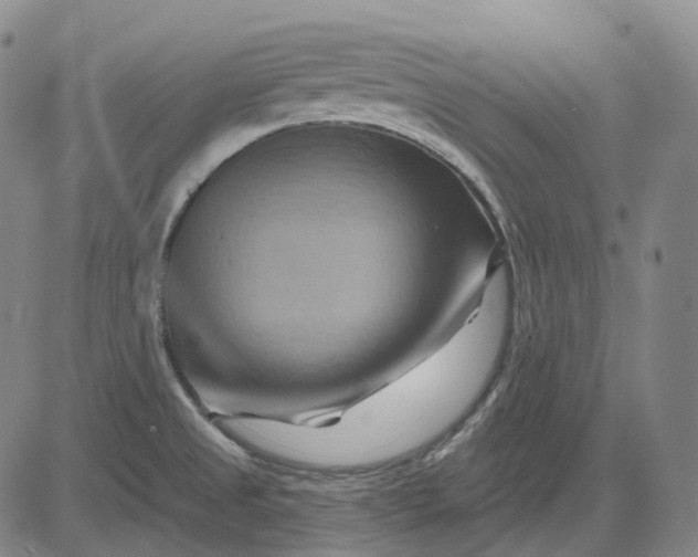 X0000083041525200702161653