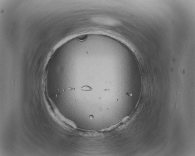 X0000083041526200702161653