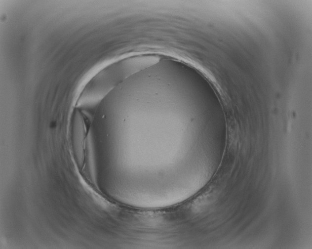 X0000083041527200702161653