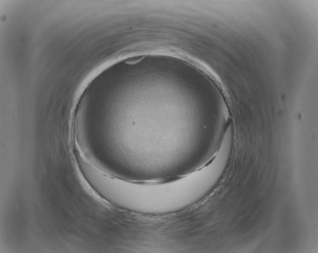 X0000083041528200702161654