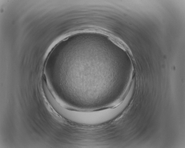 X0000083041530200702161654