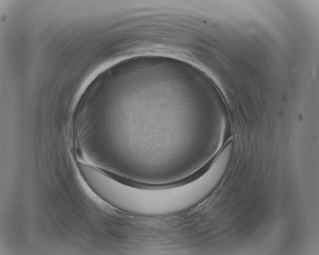 X0000083041531200702161654