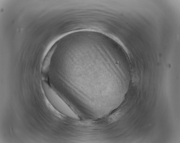 X0000083041532200702161654