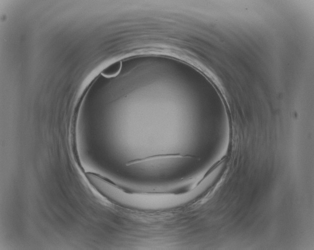 X0000083041533200702161654