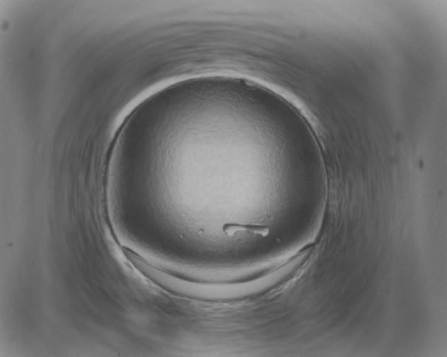 X0000083041534200702161654