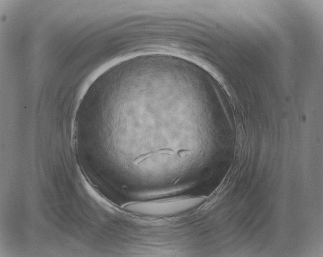 X0000083041535200702161654