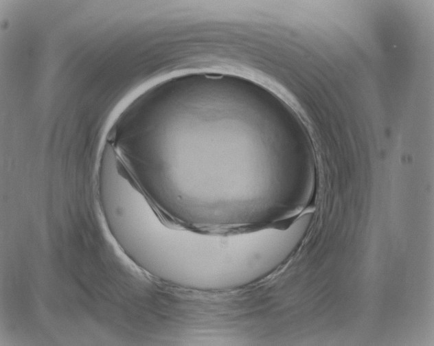 X0000083041536200702161654