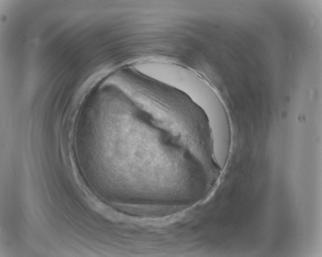 X0000083040001200702231941