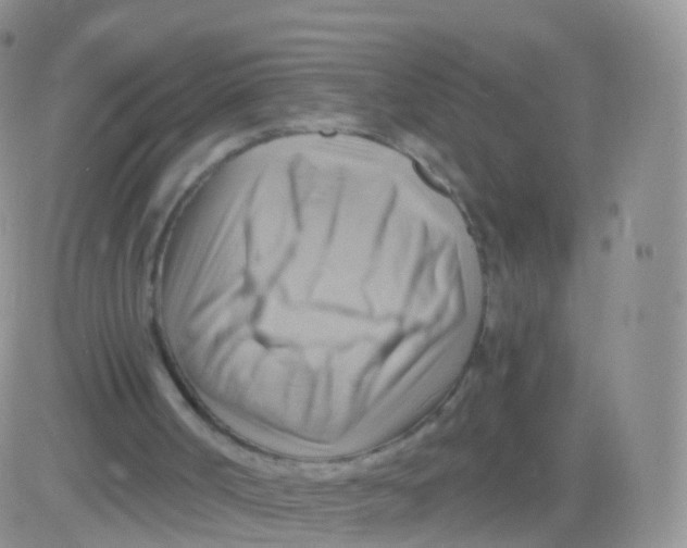 X0000083040002200702231941