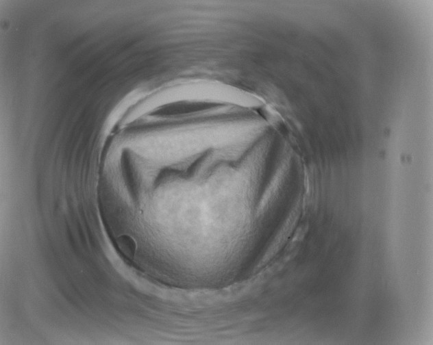 X0000083040003200702231941