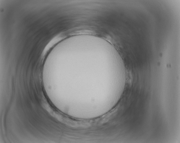 X0000083040004200702231941