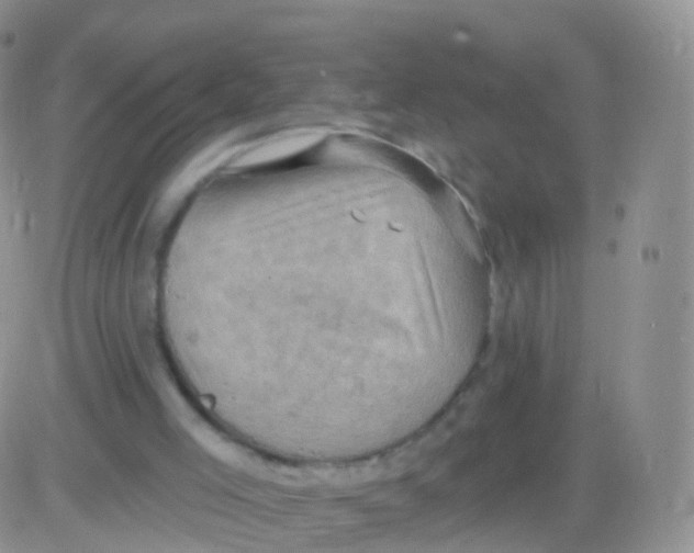 X0000083040005200702231941