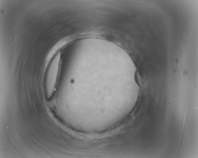 X0000083040006200702231941