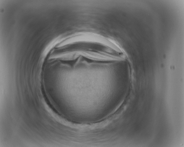 X0000083040007200702231941