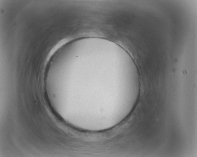 X0000083040008200702231941