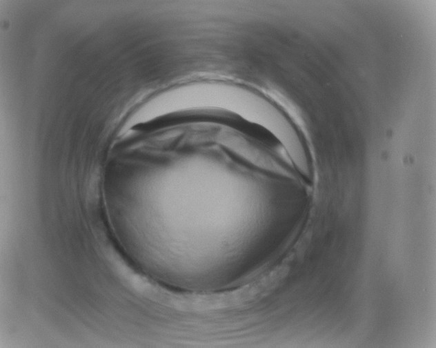 X0000083040009200702231941