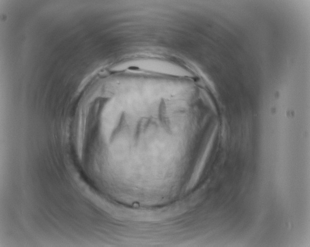 X0000083040010200702231941