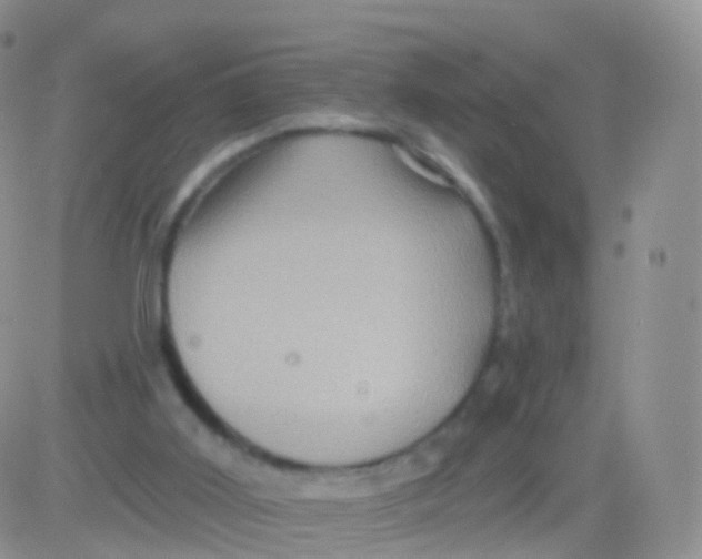 X0000083040011200702231941