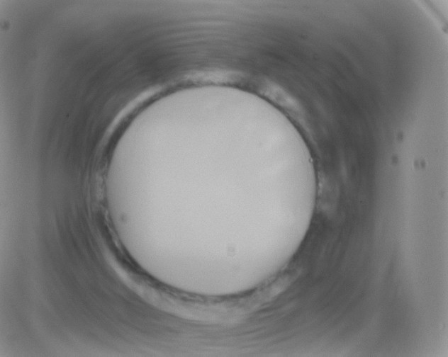 X0000083040012200702231941