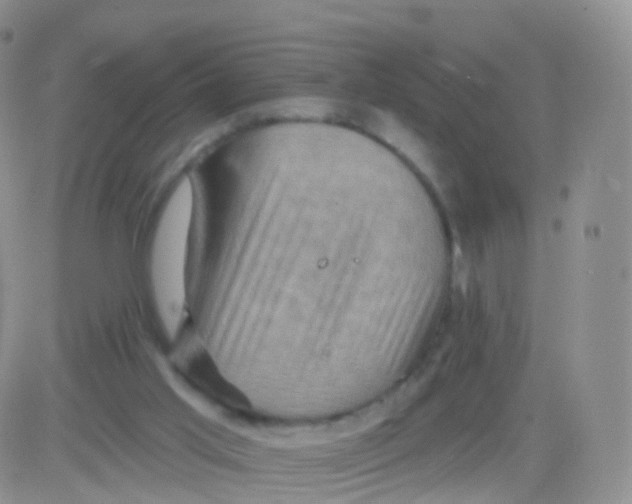 X0000083040013200702231941